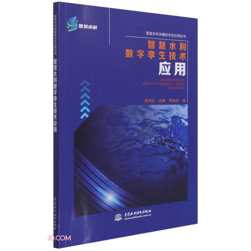 智慧水利数字孪生技术应用