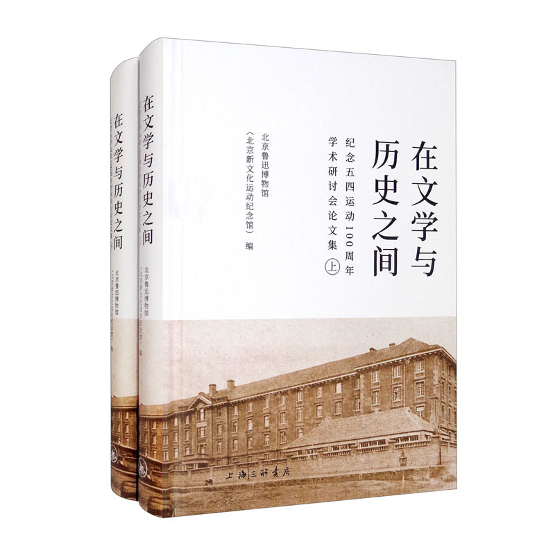 在文学与历史之间:纪念五四运动100周年学术研讨会论文集