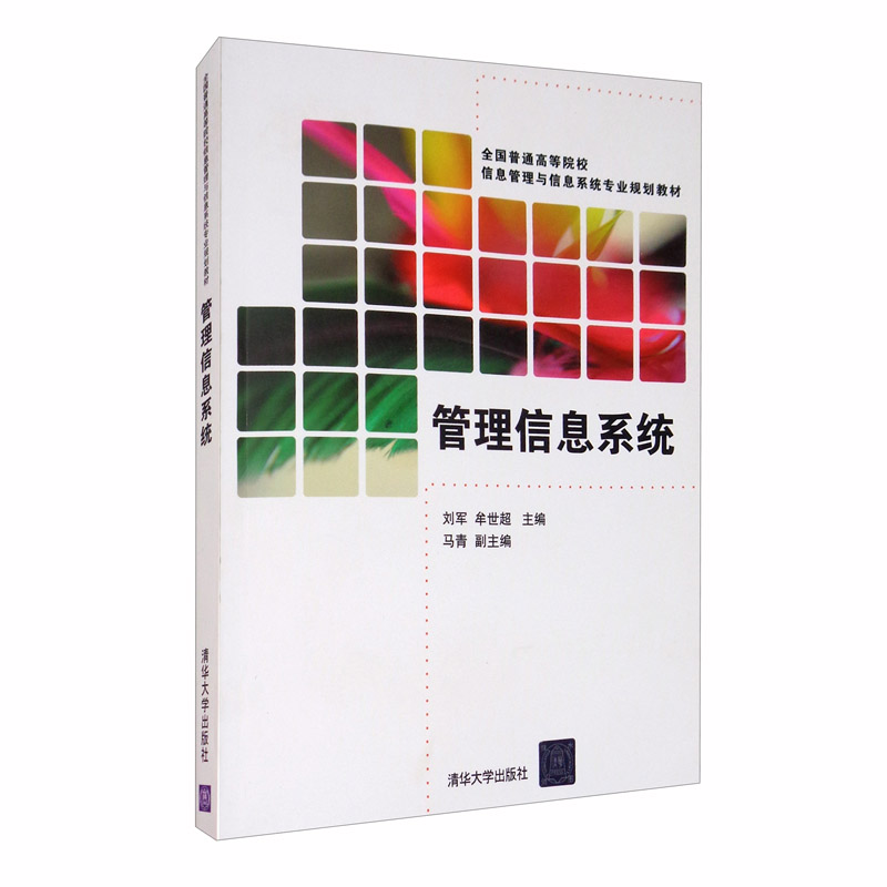 管理信息系统 全国普通高等院校信息管理与信息系统专业规划教材