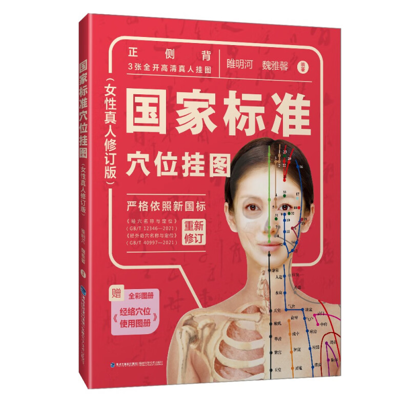 国家标准穴位挂图(女性真人修订版)