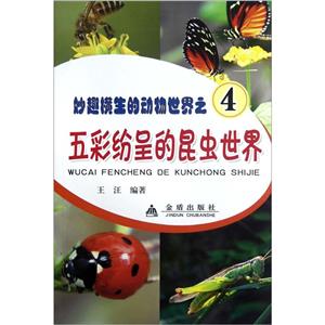 五彩纷呈的昆虫世界-妙趣横生的动物世界之4-技术教育社区