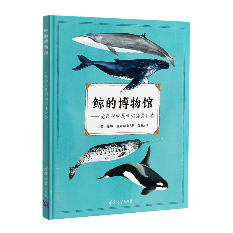 鲸的博物馆:走进神秘莫测的海洋巨兽(精装)