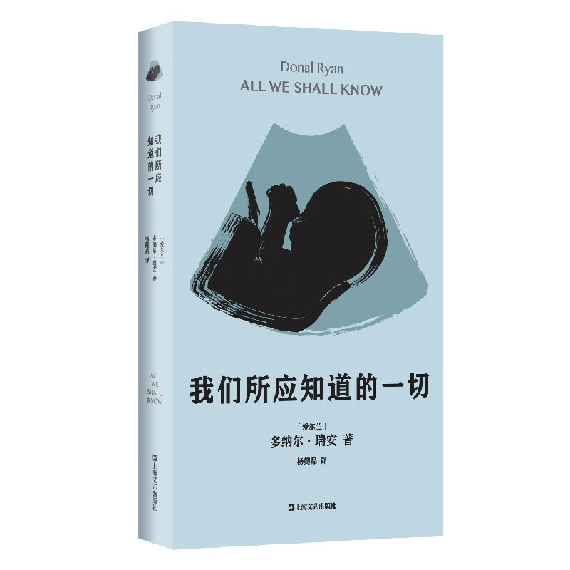 我们所应知道的一切(多纳尔·瑞安作品)