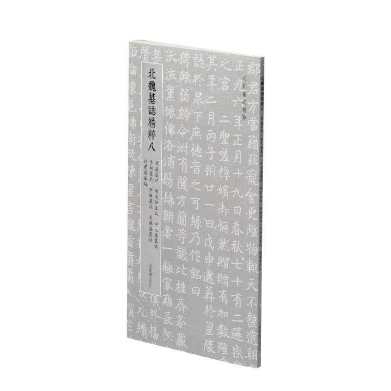 北朝墓志精粹·北魏墓誌精粹八
