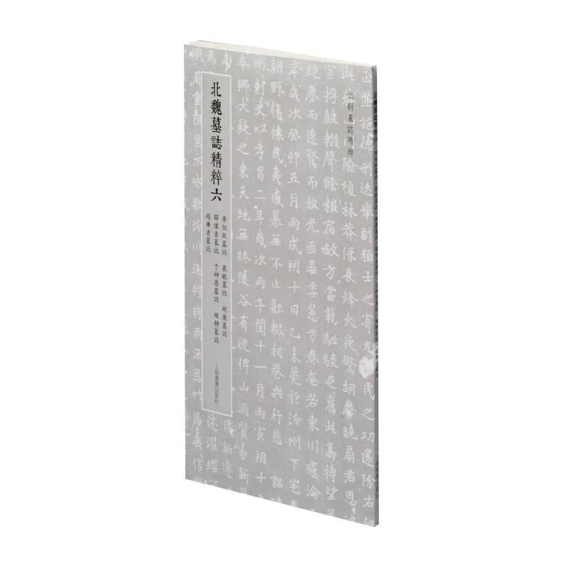 北朝墓志精粹·北魏墓誌精粹六