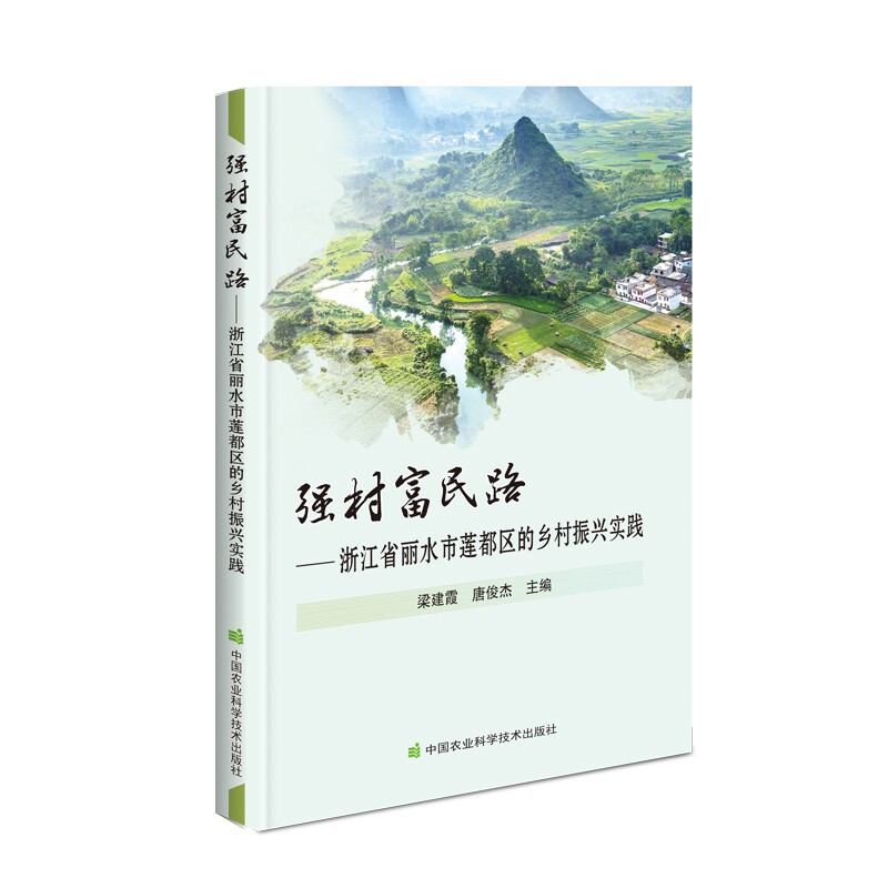 强村富民路—浙江省丽水市莲都区的乡村振兴实践