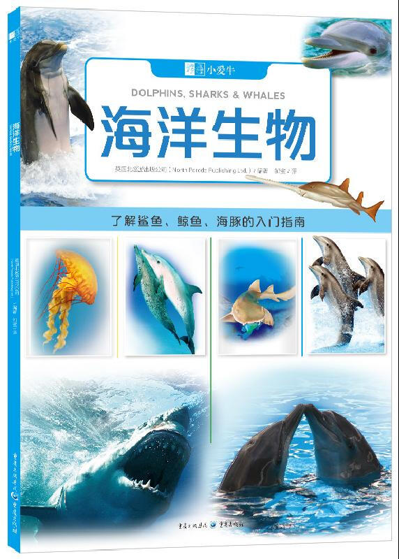 海洋生物