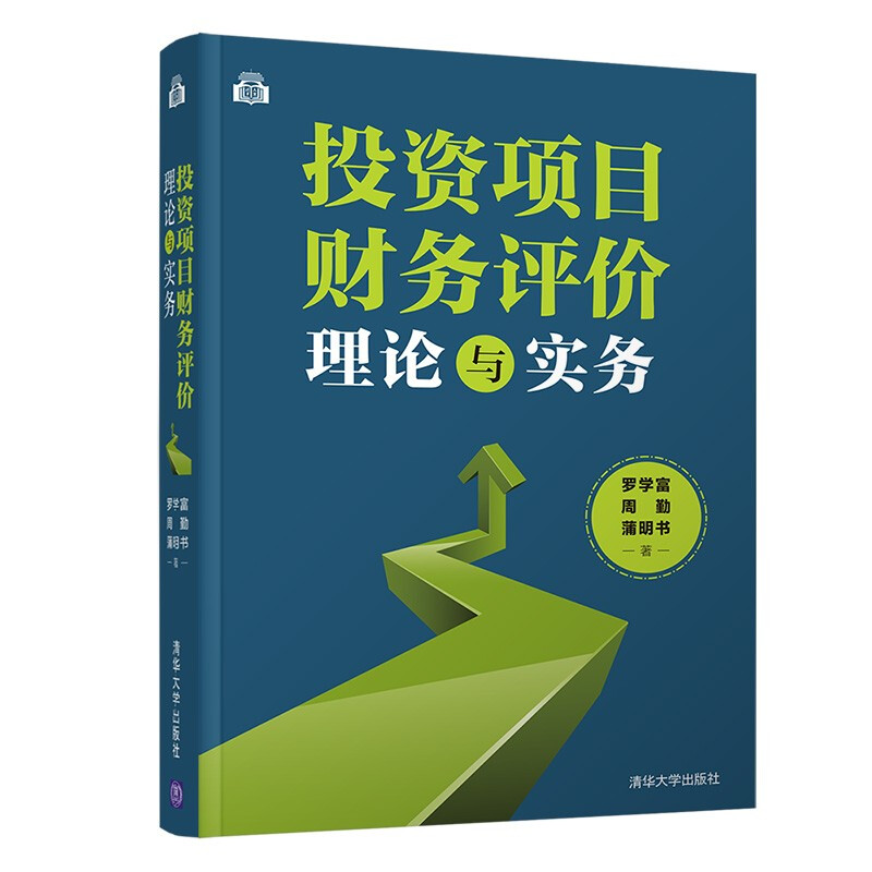 投资项目财务评价理论与实务