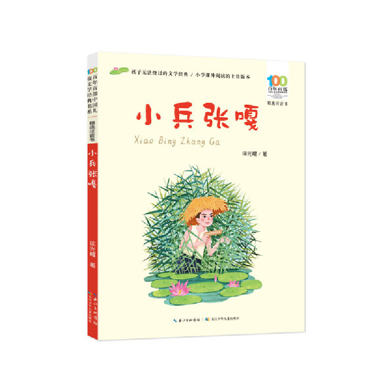 百年百部中国儿童文学经典书书系·精选注音书:小兵张嘎(儿童小说)