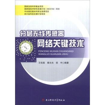 分层无线传感器网络关键技术