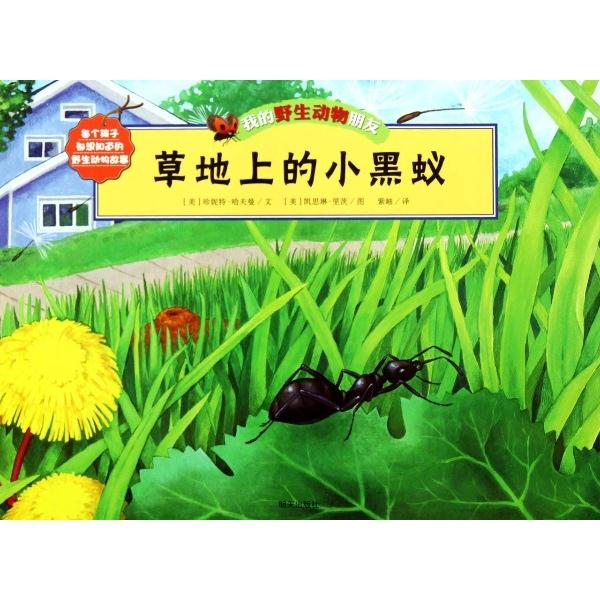草地上的小黒蚁-我的野生动物朋友