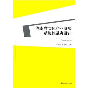 湖南省文化产业发展系统性融资设计-技术教育社区