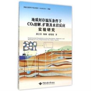 地质封存温压条件下CO2溶解.扩散及水岩反应实验研究-技术教育社区