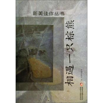 新美佳作丛书:相遇一只棕熊(上下册)