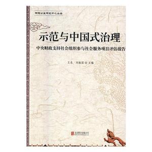 示范与中国式治理:中央财政支持社会组织参与社会服务示范项目评估报告-技术教育社区