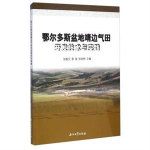 鄂尔多斯盆地靖边气田开发技术与实践-技术教育社区