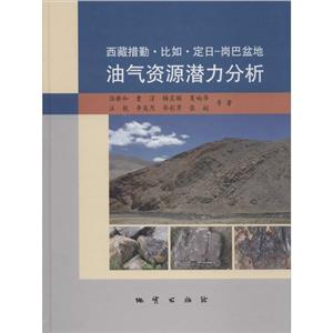 西藏措勤.比如.定日-岗巴盆地油气资源潜力分析-技术教育社区