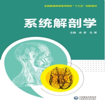 系统解剖学
