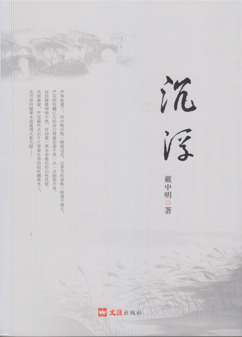 沉浮(长篇小说)