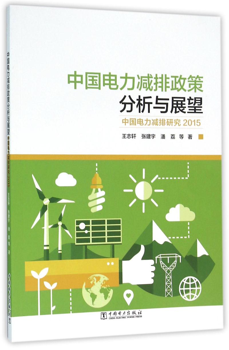 中国电力减排政策分析与展望