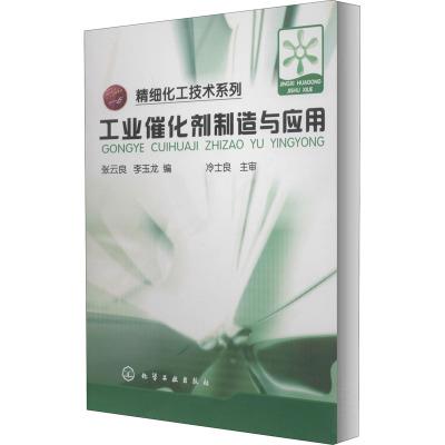 精细化工工业催化剂制造与应用/张云良/精细化工技术系列