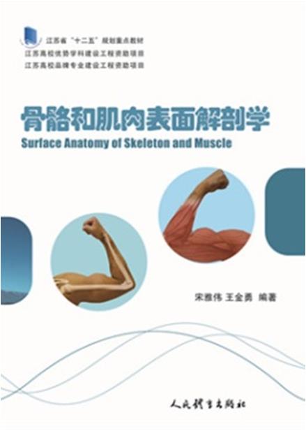 肌骨表面解剖学