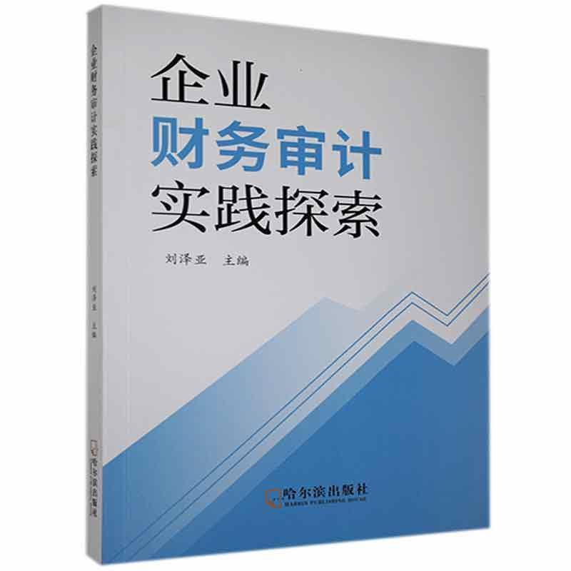 企业财务审计实践探索