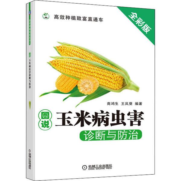 图说玉米病虫害诊断与防治(清晰地展现了病害症状和害虫形态,有助于读者准确地诊断和识别)