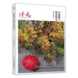 读者丛书:石板路上踏过的青春-技术教育社区