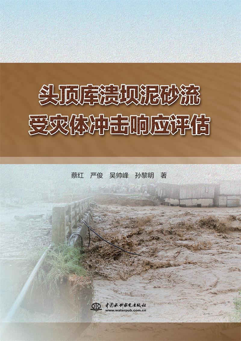 头顶库溃坝泥砂流受灾体冲击响应评估