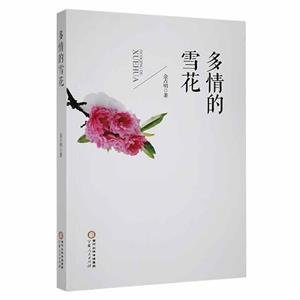 多情的雪花-技术教育社区