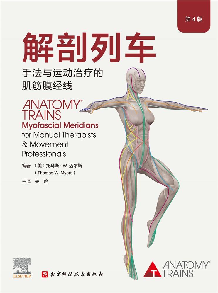 解剖列车:手法与运动治疗的肌筋膜经线(第4版)