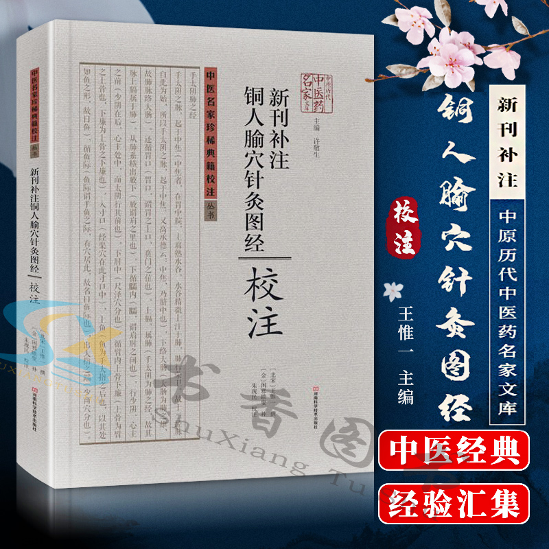 中医名家珍稀典籍校注丛书:《新刊补注铜人腧穴针灸图经》校注