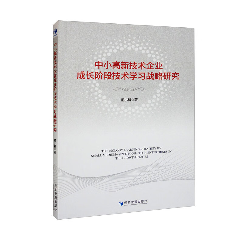 中小高新技术企业成长阶段技术学习战略研究