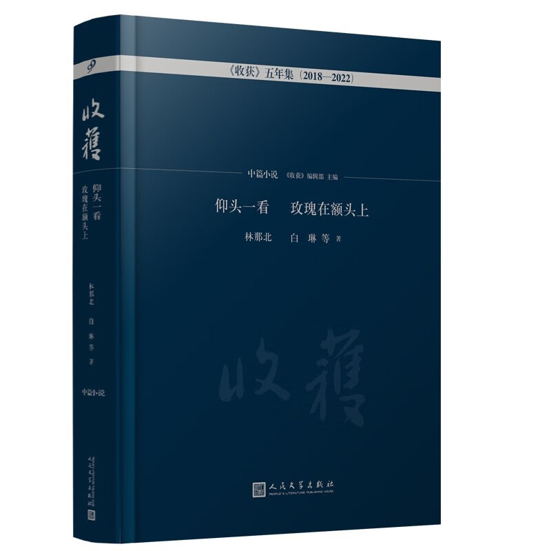 仰头一看玫瑰在额头上·中篇小说卷(《收获》五年集2018—2022)