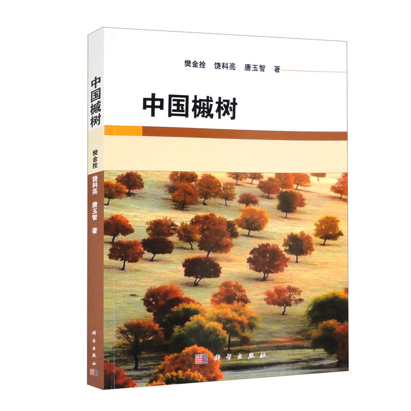 中国槭树