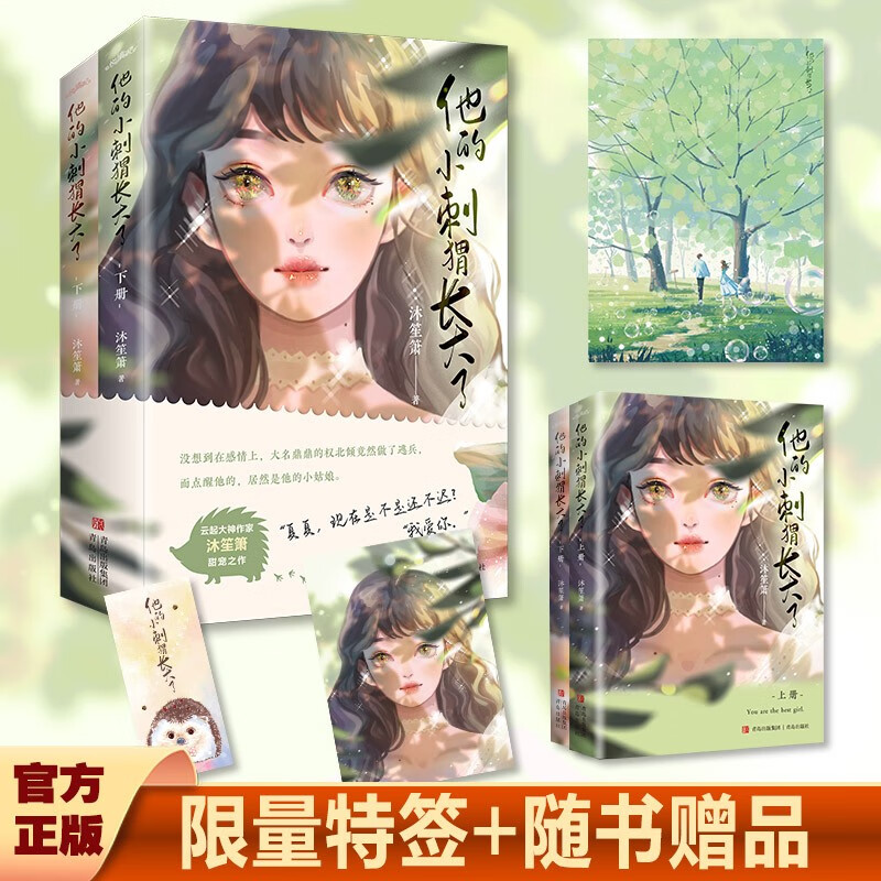 他的小刺猬长大了(上下册)