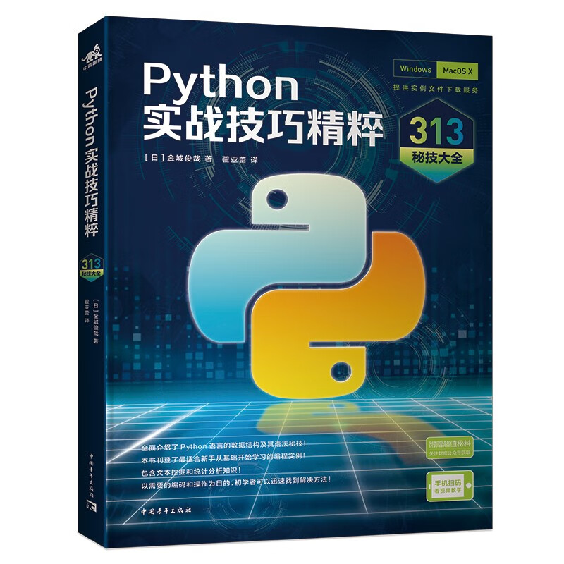 Python实战技巧精粹:313秘技大全