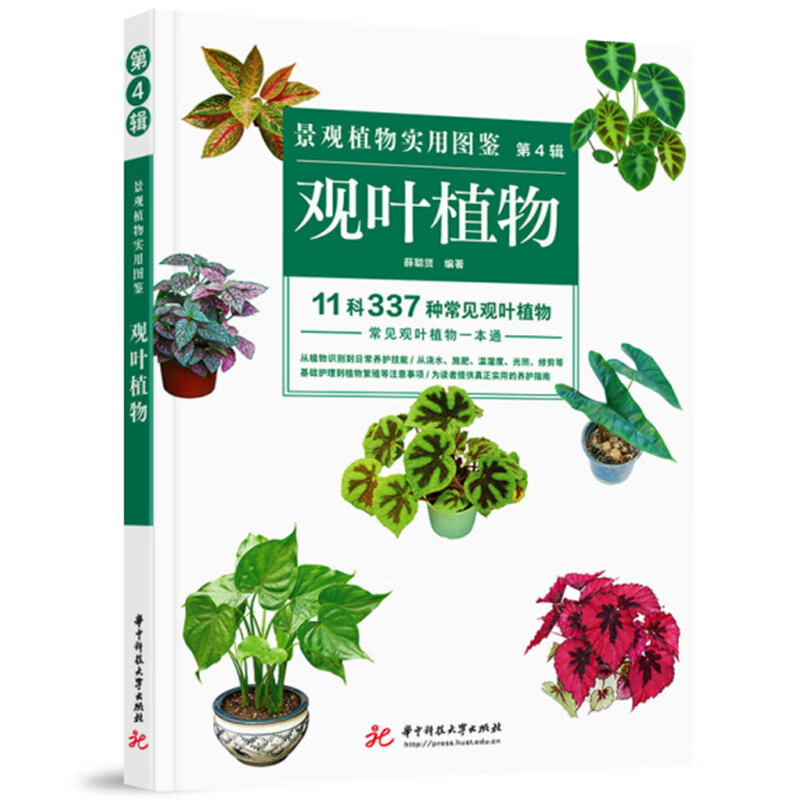 景观植物实用图鉴(第4辑):观叶植物