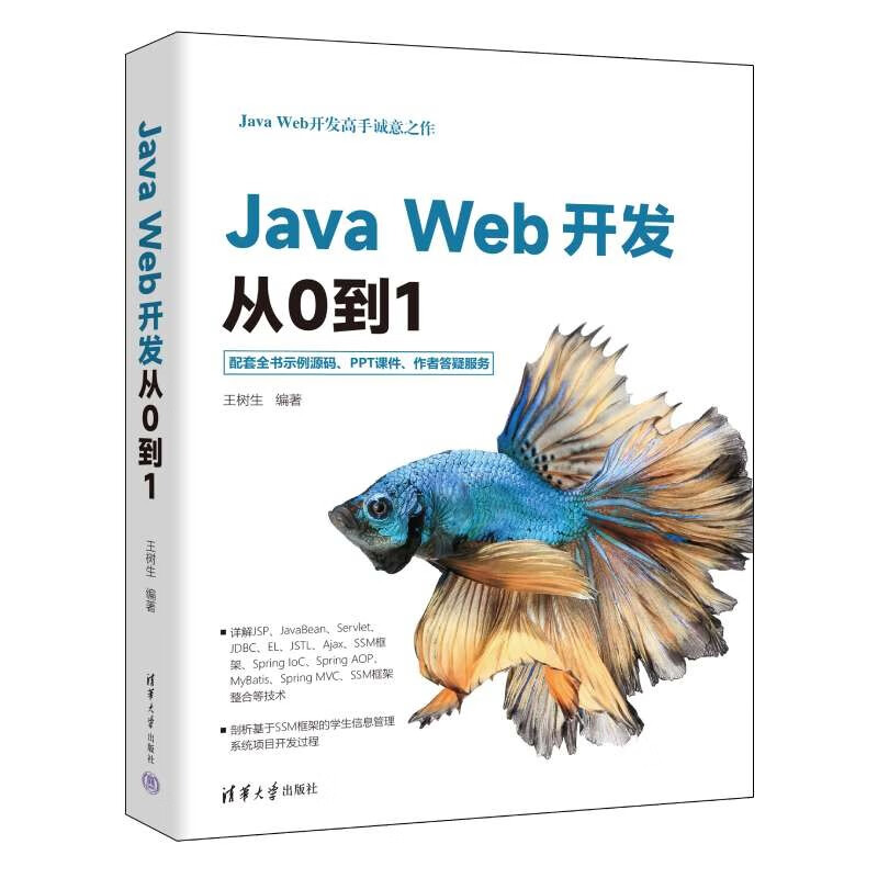 JAVA WEB开发从0到1