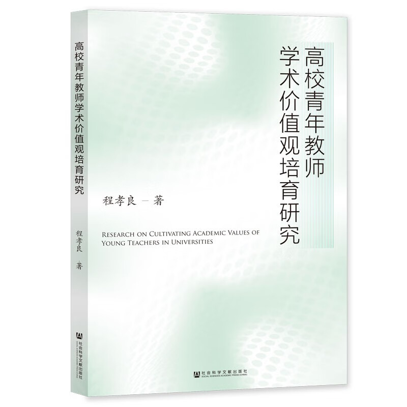 高校青年教师学术价值观培育研究