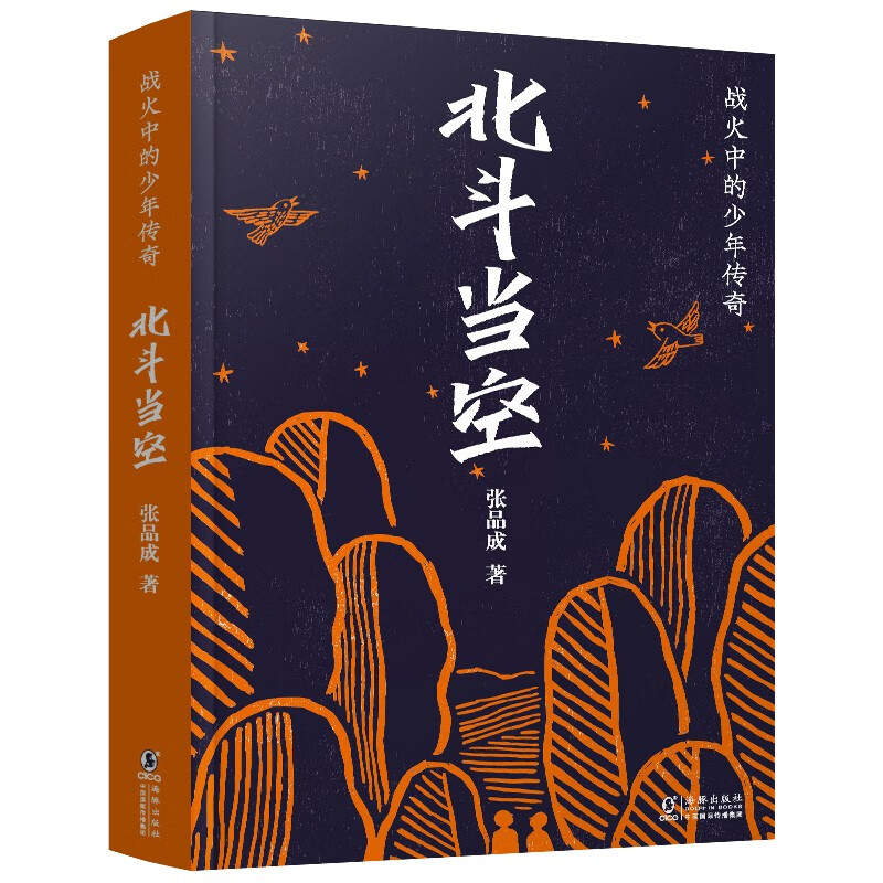 战火中的少年传奇:北斗当空