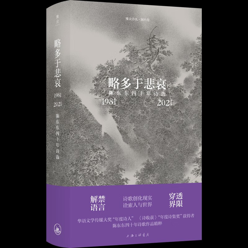 略多于悲哀:陈东东四十年诗选(1981-2021)