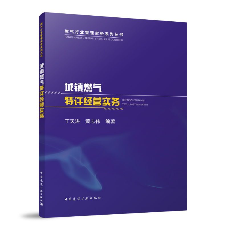 城镇燃气特许经营实务/燃气行业管理实务系列丛书