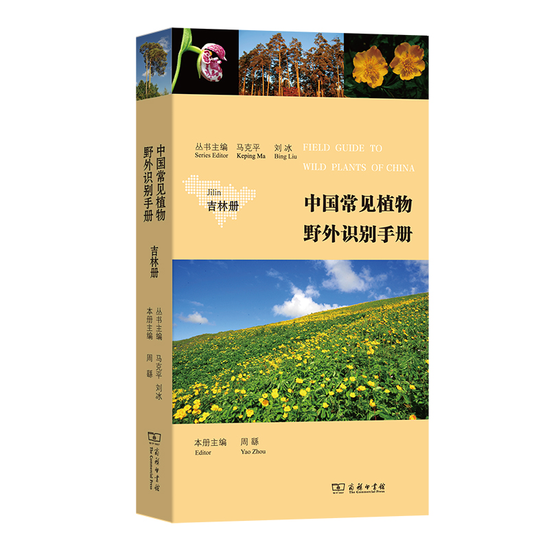 中国常见植物野外识别手册:吉林册