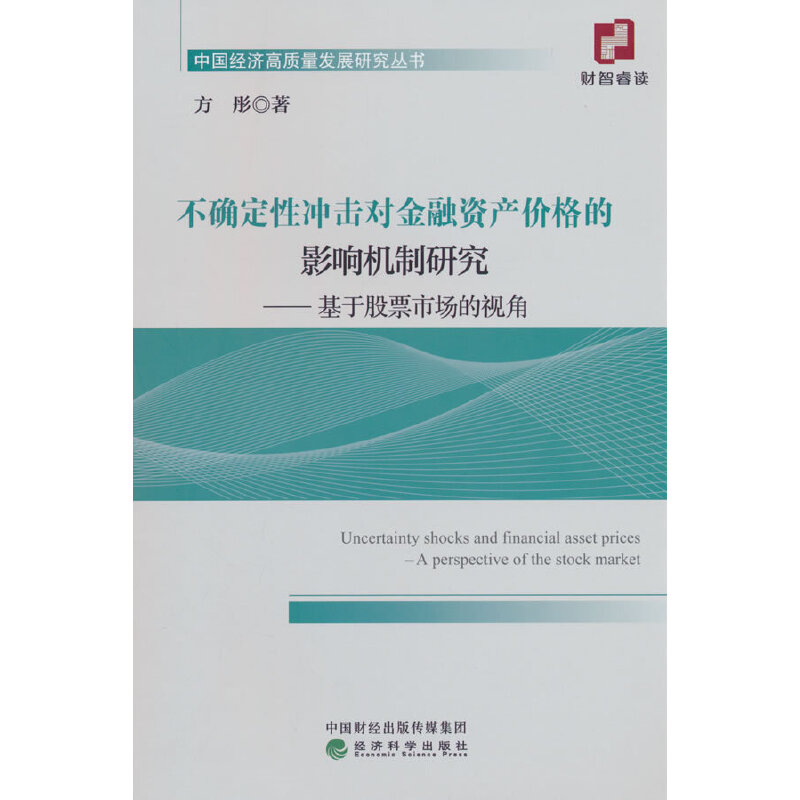 不确定性冲击对金融资产价格的影响机制研究;基于股票市场的视角