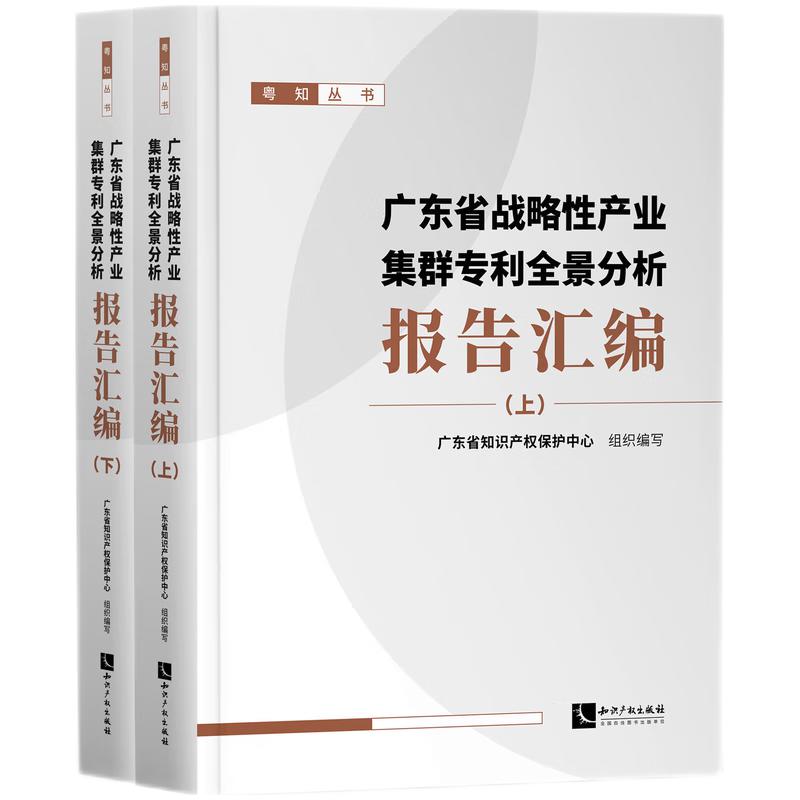 广东省战略性产业集群专利全景分析报告汇编(上、下)