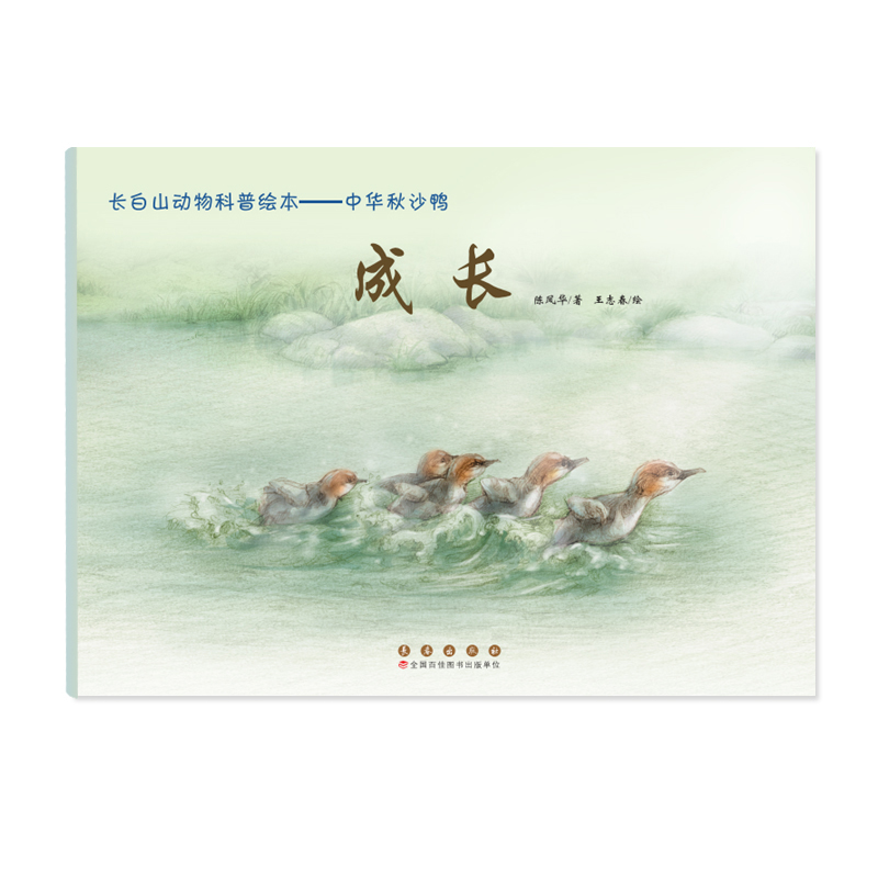 长白山动物科普绘本:中华秋沙鸭·成长