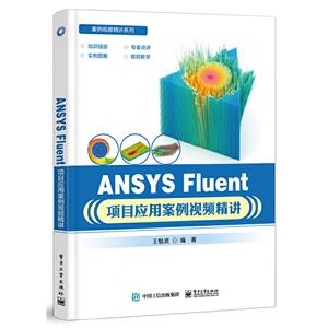 ANSYS FLUENTĿӦðƵ