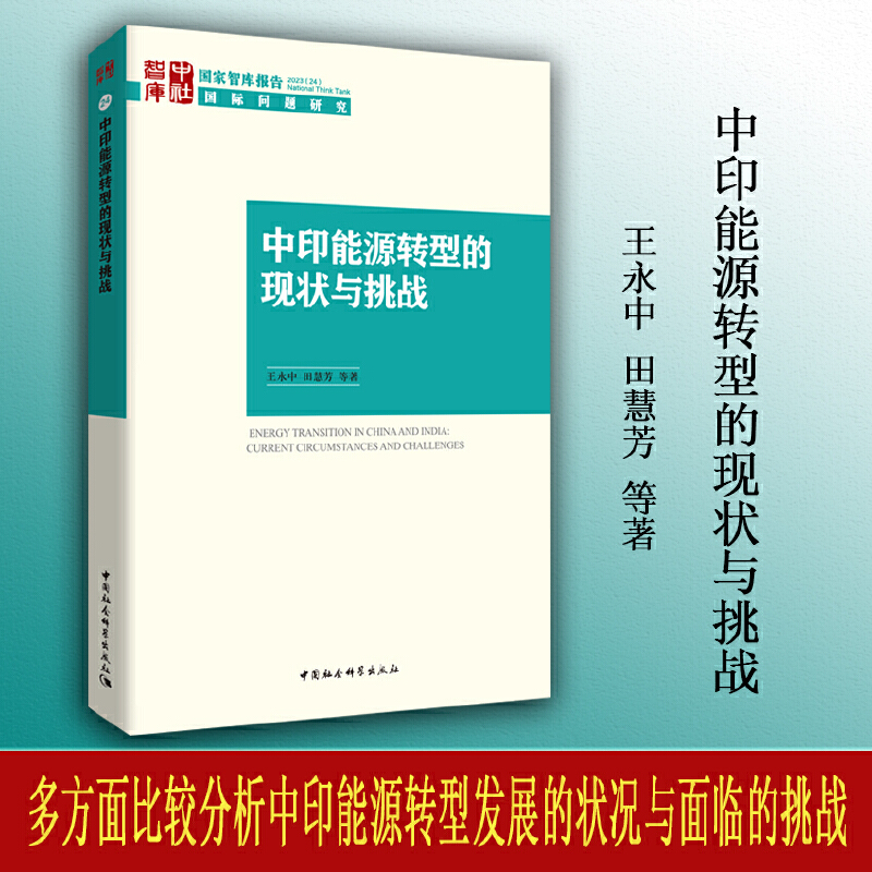 中印能源转型的现状与挑战